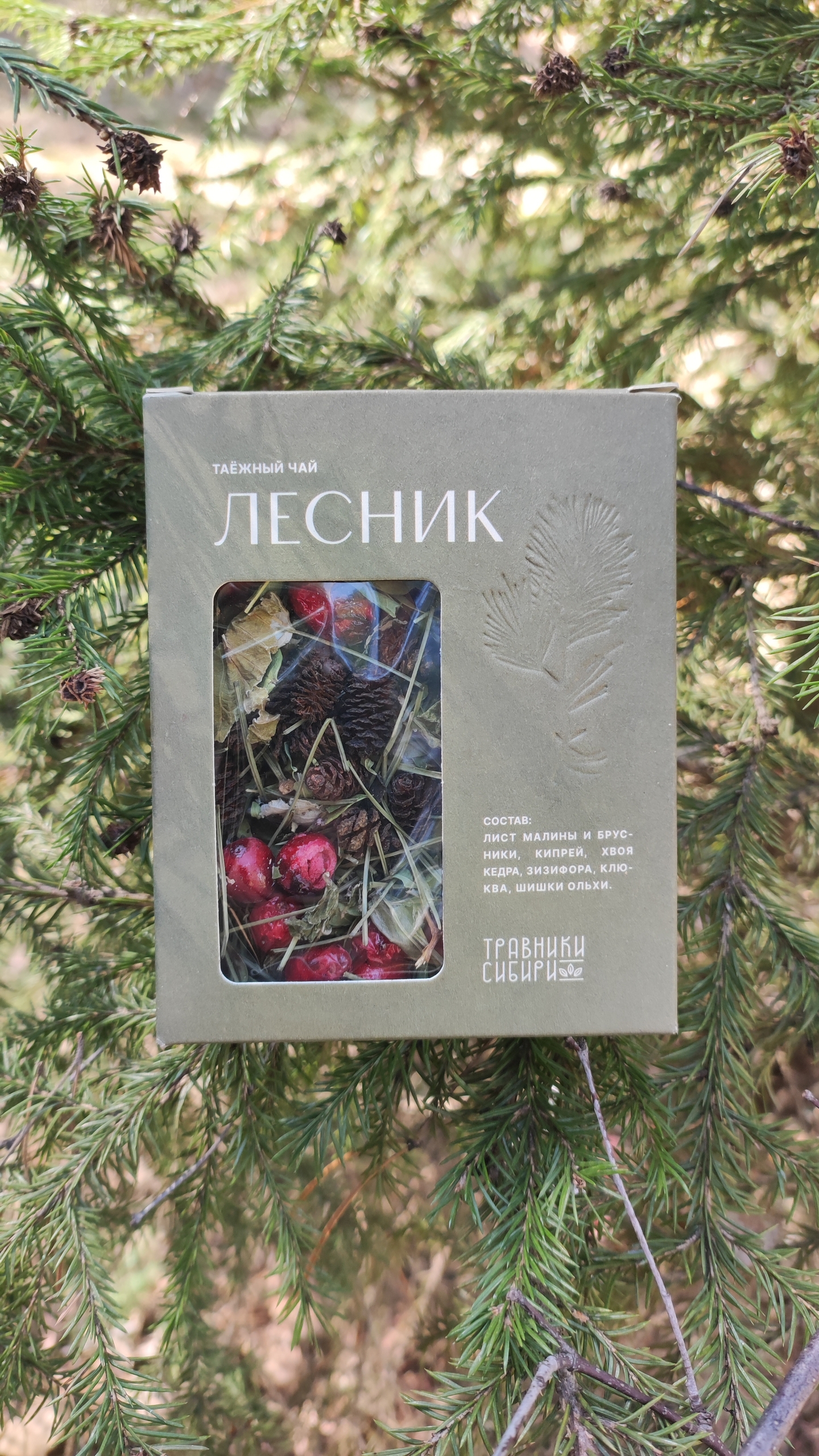 "ЛЕСНИК" чай